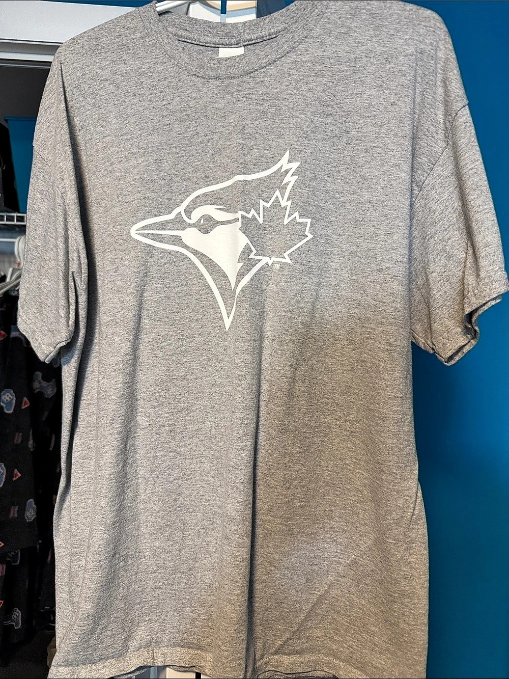 Gildan Men's Cotton Graphic Tee Gray XL Like New